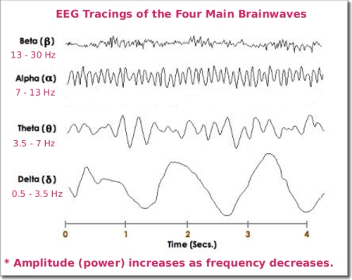brainwave-traces